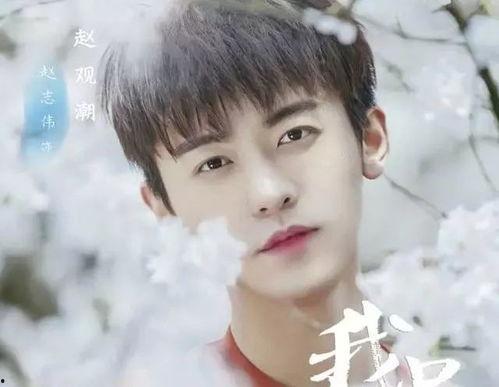 付安琪个人资料  第3张