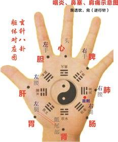 手掌上的八卦说明,揭秘手掌奥秘与生命智慧