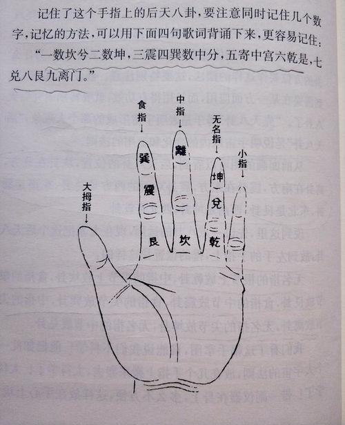 手掌上的八卦说明,揭秘手掌奥秘与生命智慧  第2张