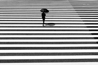 黑白对比照片  第2张