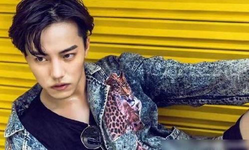 杜亚飞模特个人资料,时尚界璀璨新星，模特界璀璨明珠