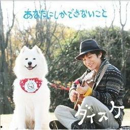 动物演员,揭秘动物演员的精彩瞬间  第3张